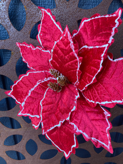Red White Trim Poinsettia