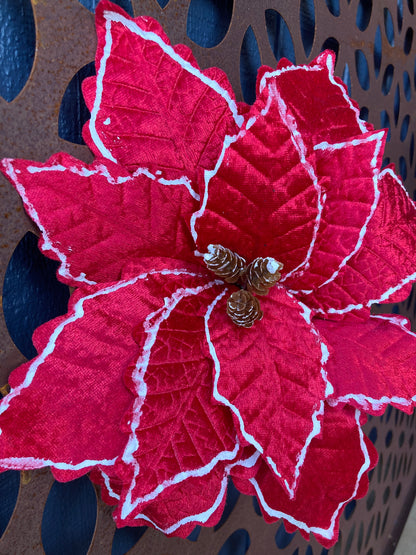 Red White Trim Poinsettia