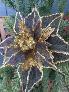 Sheer Black Gold Poinsettia