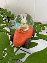 Load image into Gallery viewer, Carrot Car Water Ball