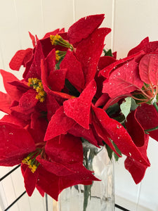 Poinsettia Bunch