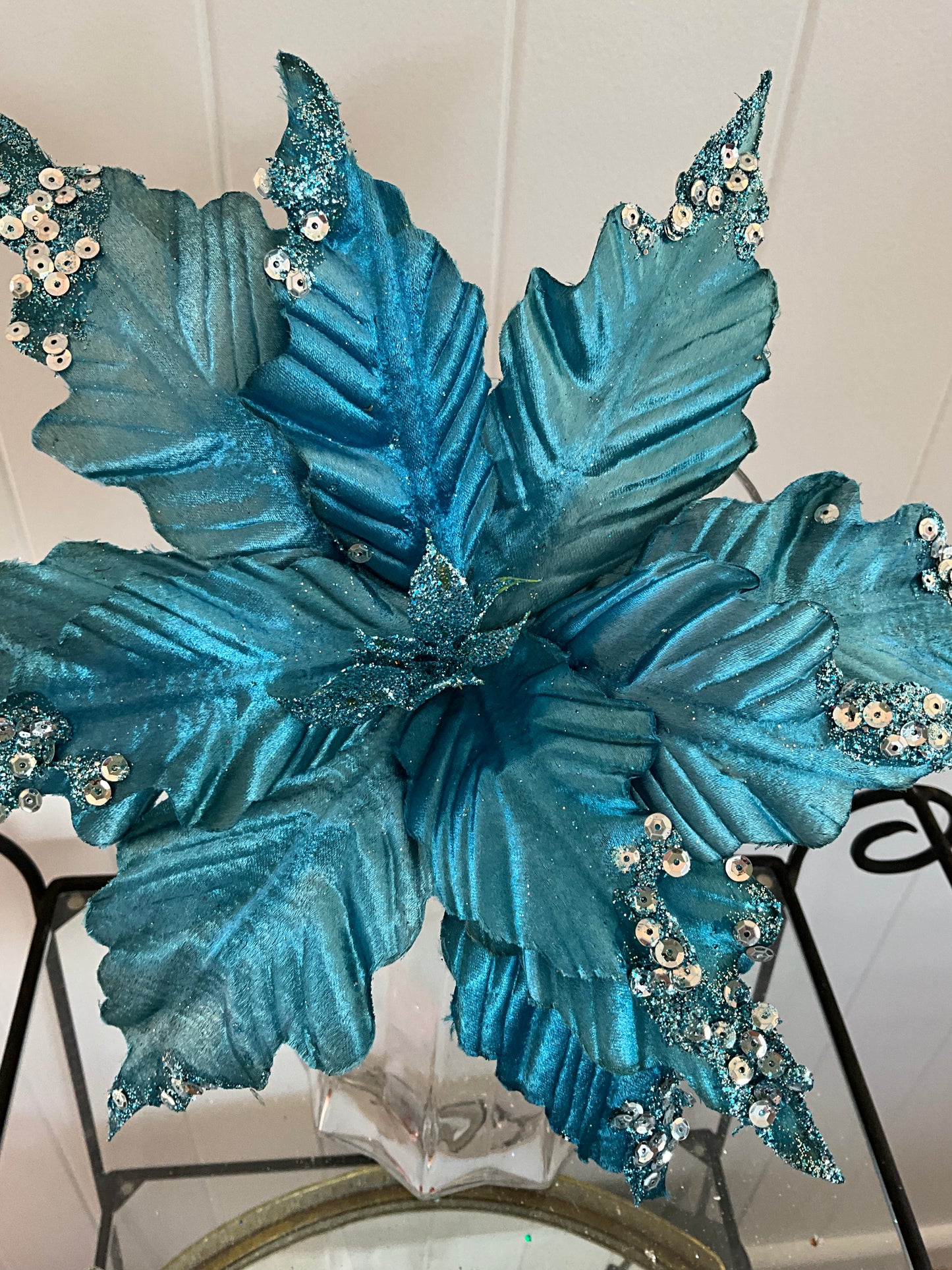 Turquoise Blue Poinsettia