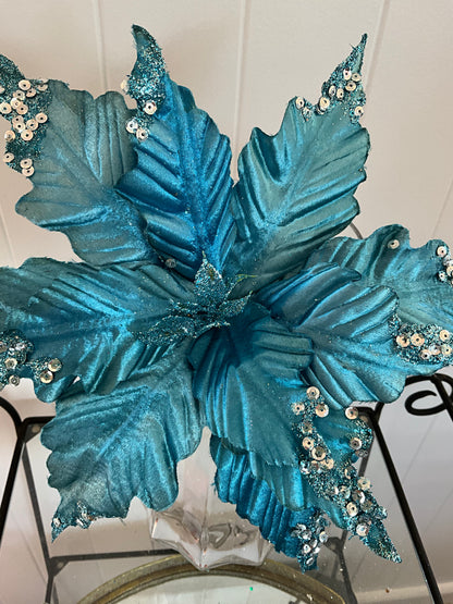 Turquoise Blue Poinsettia