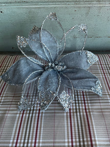 Silver Velvet Poinsettia