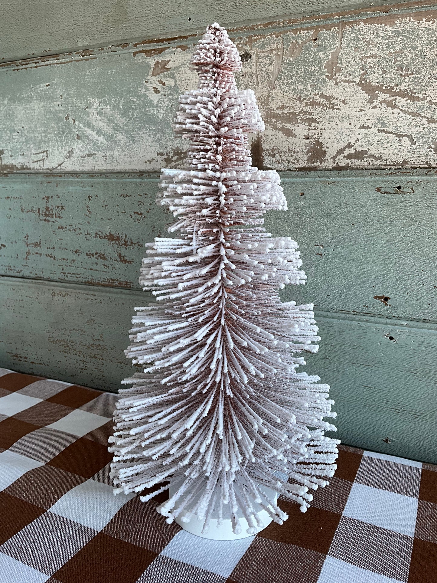 Coffee Icelandic Tree