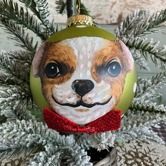 Green Ball Dog