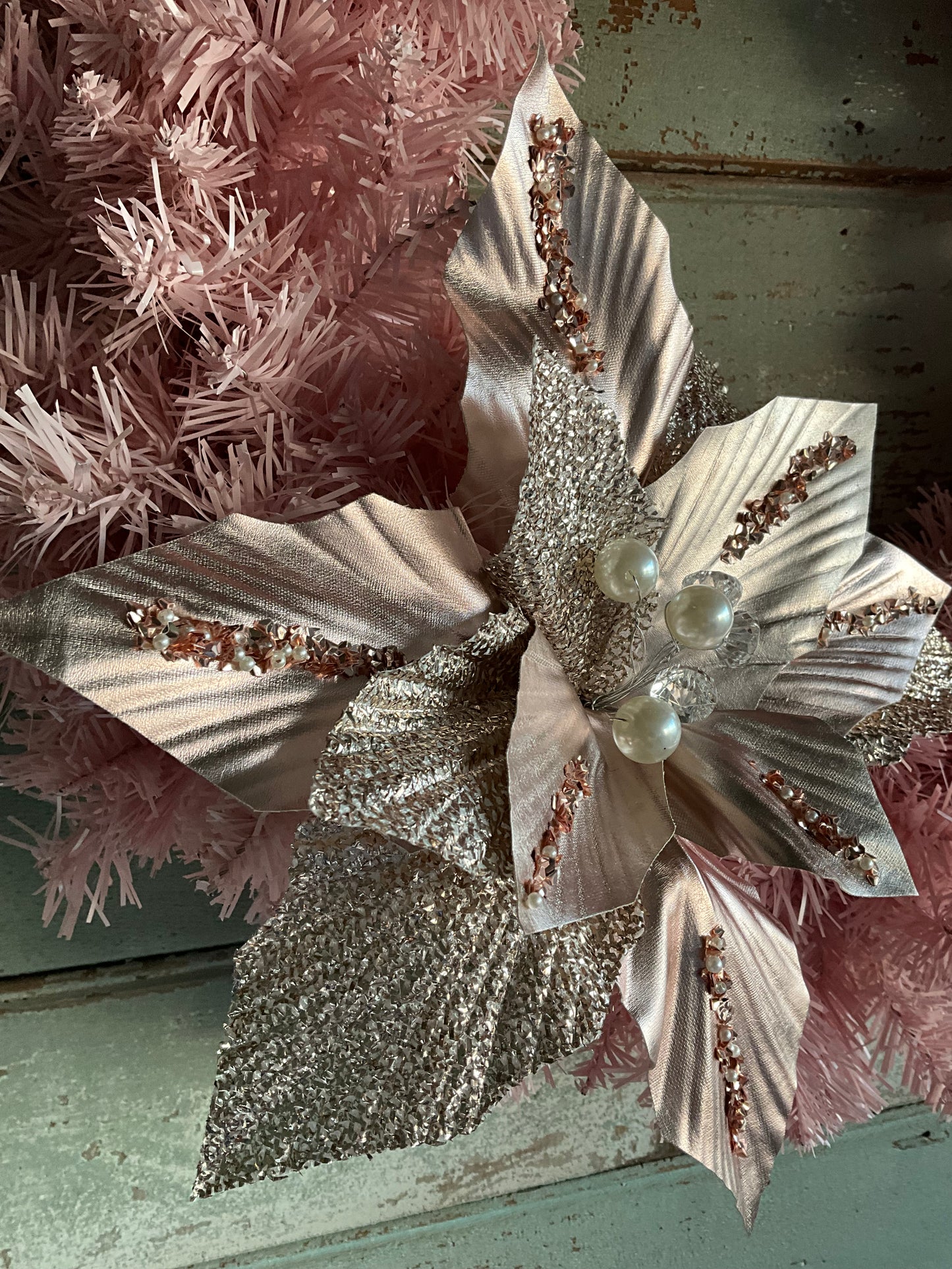 Pale Pink Poinsettia