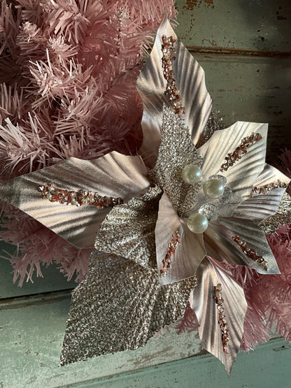 Pale Pink Poinsettia