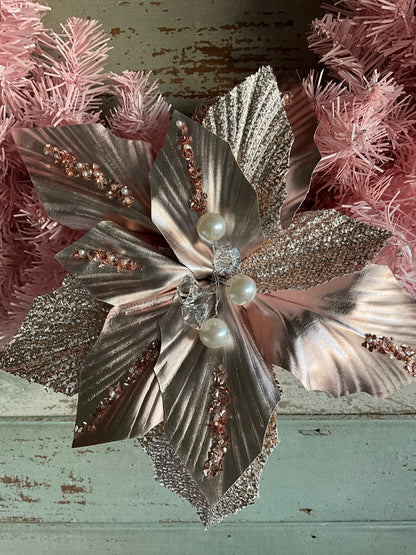 Pale Pink Poinsettia