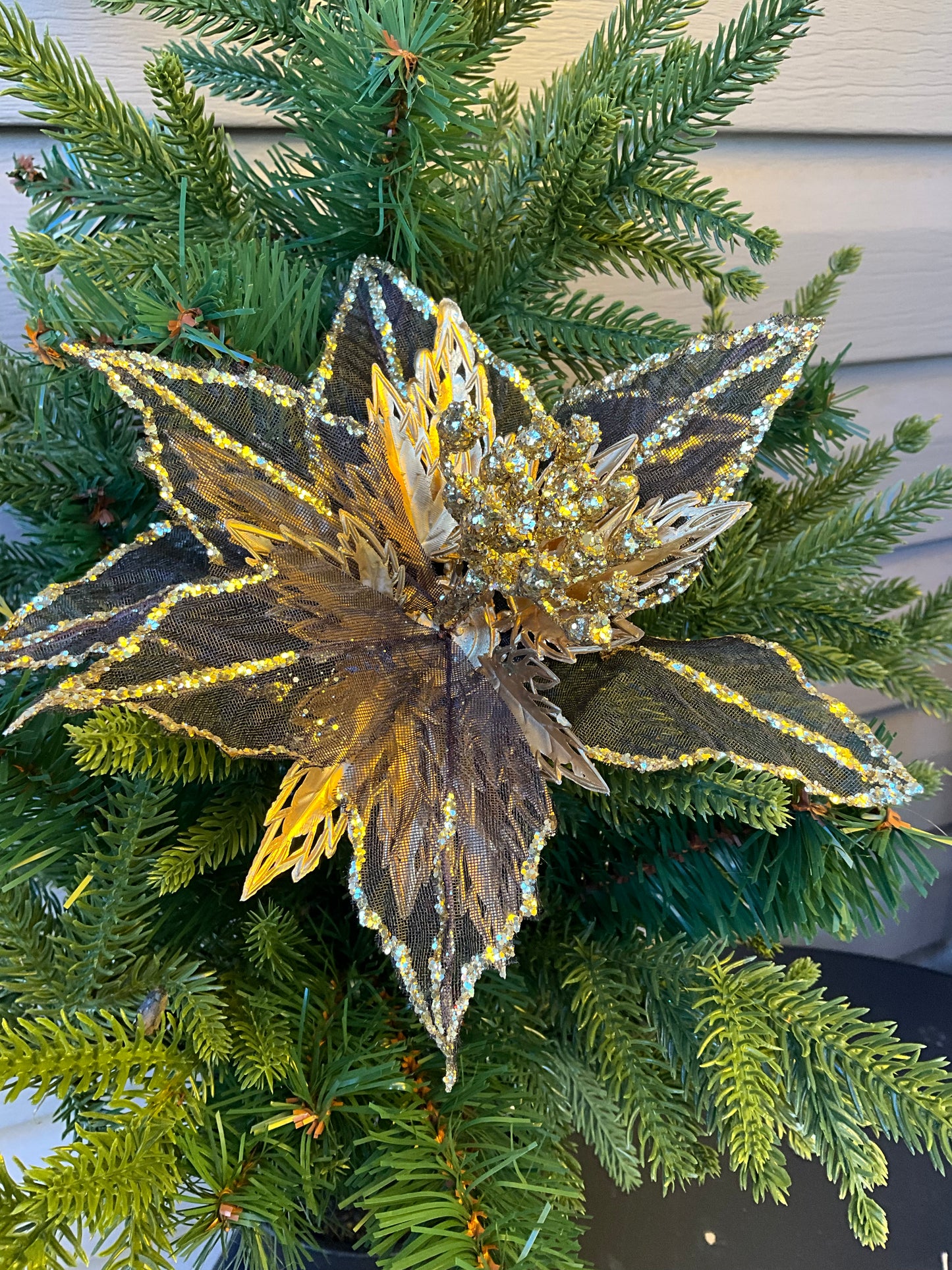 Metallic Gold Black Poinsettia