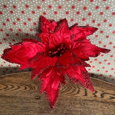 Red Velvet Poinsettia