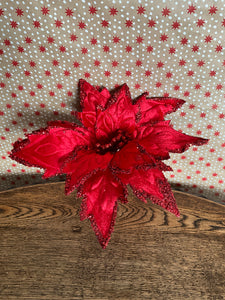 Red Velvet Poinsettia