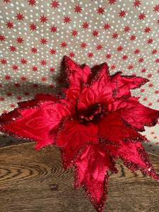 Red Velvet Poinsettia