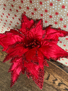 Red Velvet Poinsettia