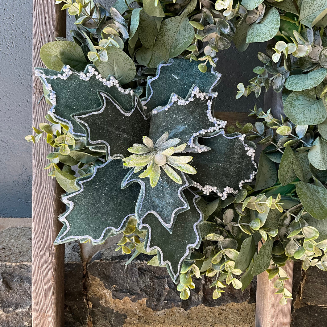 Green Velvet Poinsettia