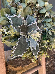 Green Velvet Poinsettia