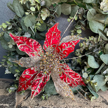 Load image into Gallery viewer, Red Champagne Poinsettia