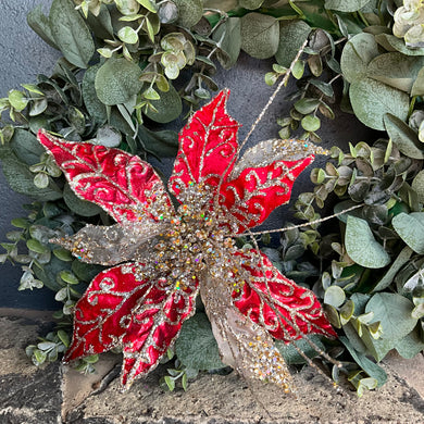 Red Champagne Poinsettia