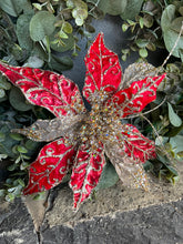 Load image into Gallery viewer, Red Champagne Poinsettia