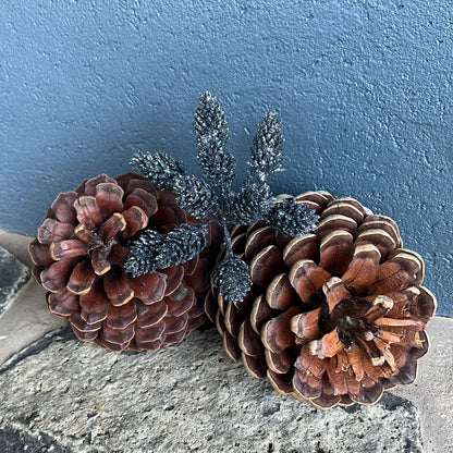 Mini Buds Pick Platinum