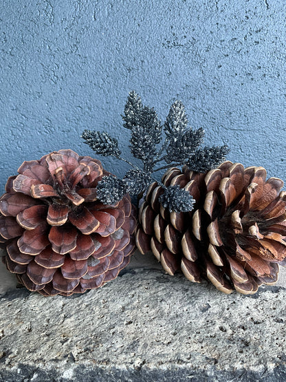 Mini Buds Pick Platinum