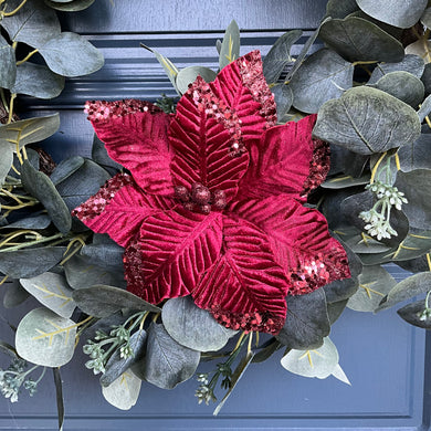 Burgundy Velvet Poinsettia