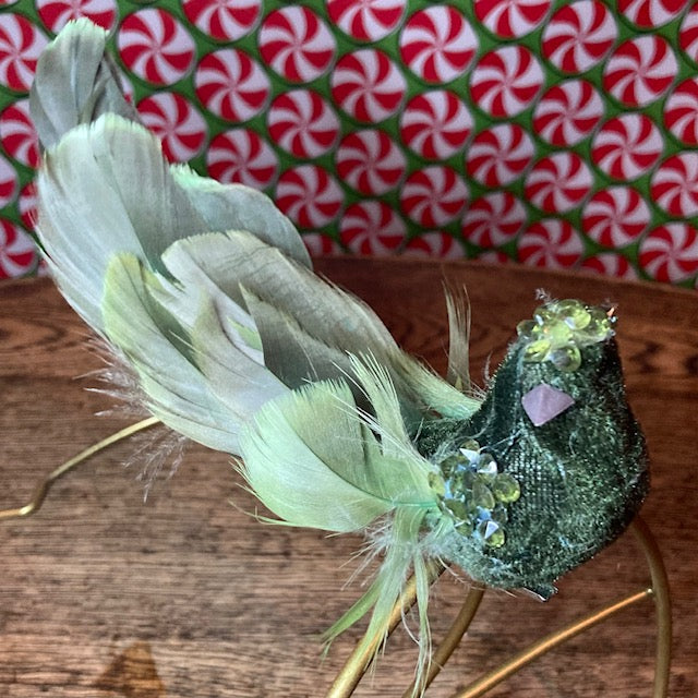 Green Bird with Feathered Tail