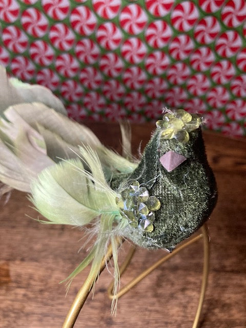 Green Bird Feathered Tail