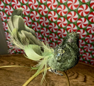 Green Bird with Feathered Tail