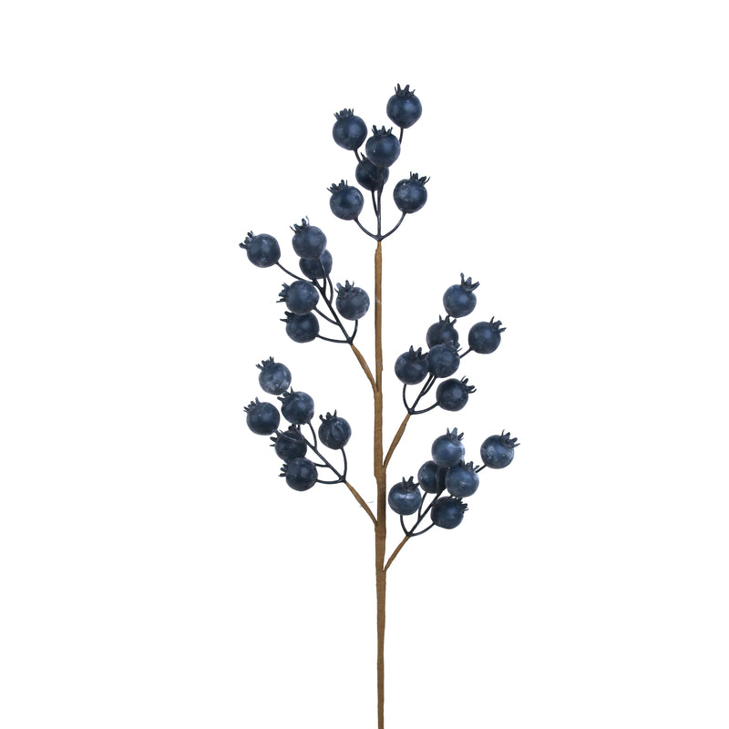 Blue Berry Spray