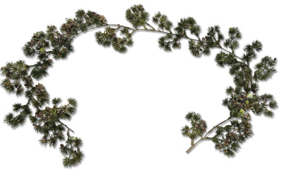 Bonsai Table Garland
