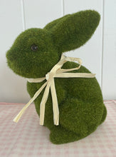 Load image into Gallery viewer, Sitting Moss Bunny B