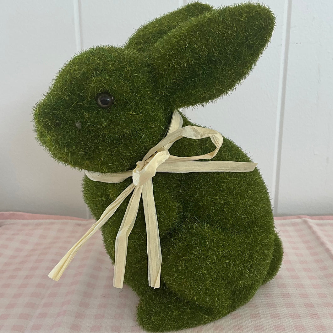 Sitting Moss Bunny B