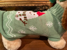 Load image into Gallery viewer, Christmas Puppy Jumper Small