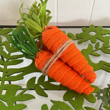 Load image into Gallery viewer, Set Three Carrots