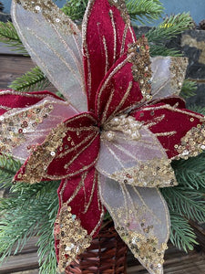 Burgundy Gold Poinsettia