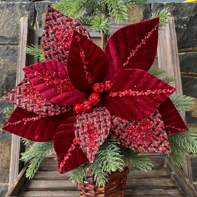 Burgundy Black Tartan Poinsettia