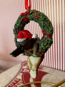 Platypus on Wreath