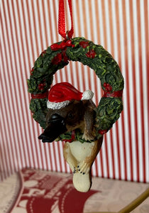 Platypus on Wreath