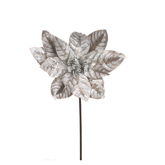 Platinum Velvet Poinsettia