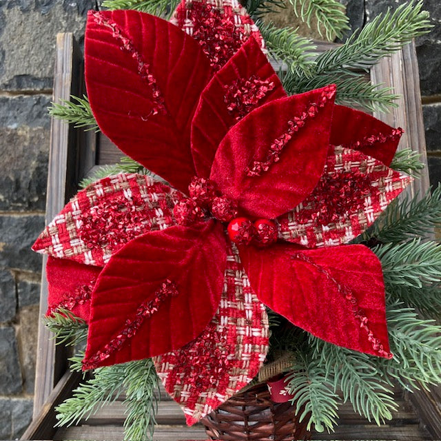 Red White Tartan Poinsettia