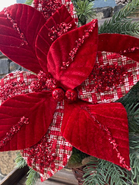 Red Tartan Poinsettia