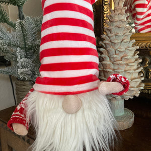 Striped Hat Gnome with a White Beard