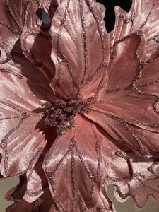 Pink Poinsettia with Tails