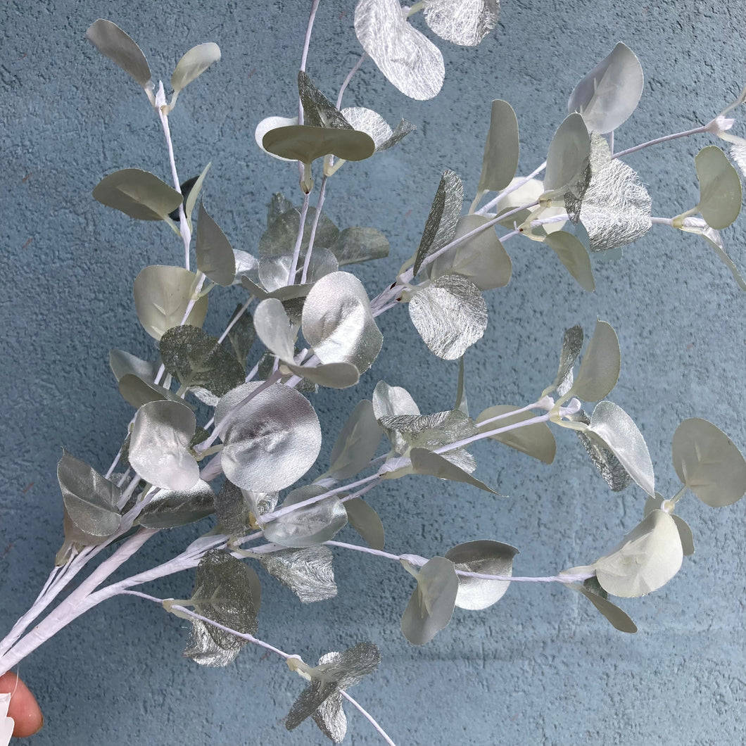 Eucalyptus Silvery Spray