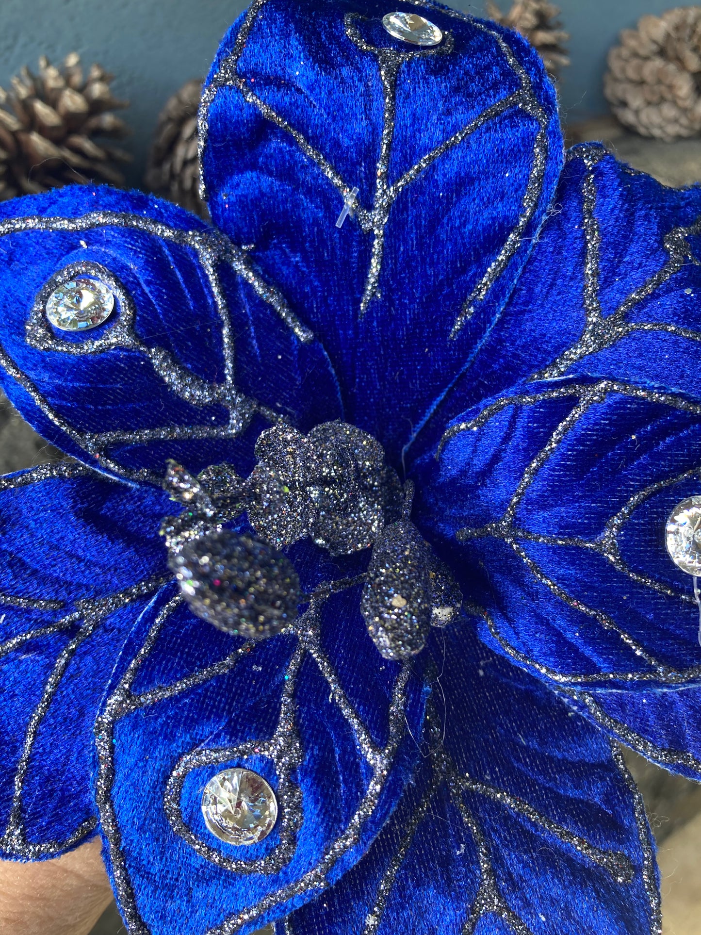 Blue Diamantés Poinsettia