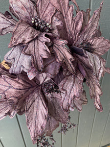 Purple Poinsettia with Tails