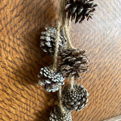 Snow Dusted Pinecones