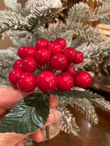 Red Berry Cluster Pick