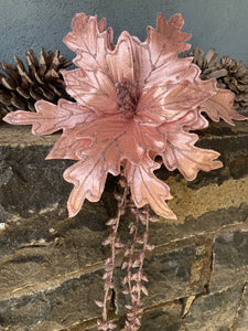 Pink Poinsettia with Tails